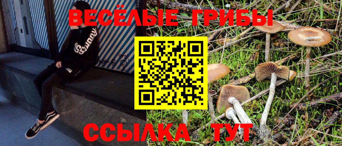 Псилоцибиновые грибы Magic Shrooms Бийск
