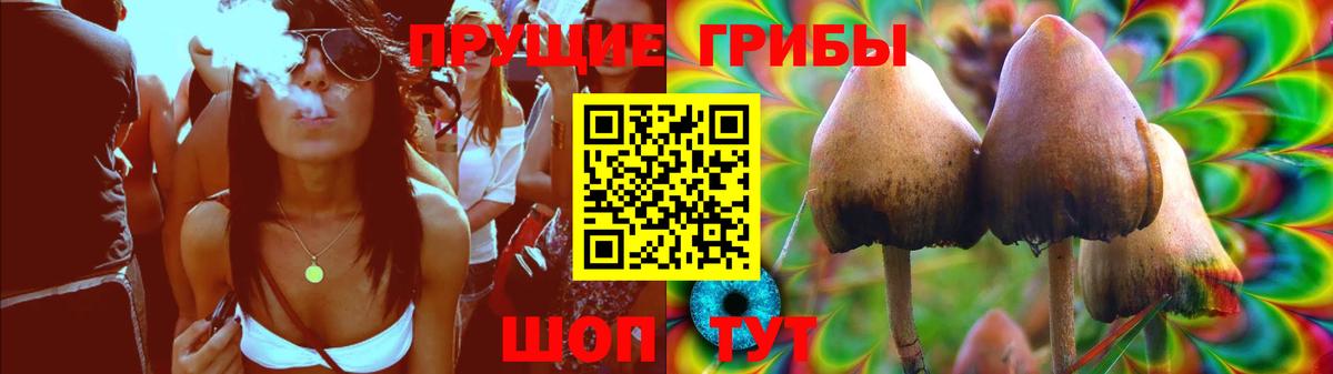 Псилоцибиновые грибы Cubensis  Вход с VPN  Бийск 